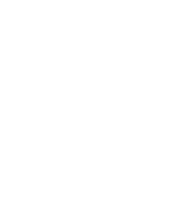 Velo City Logo